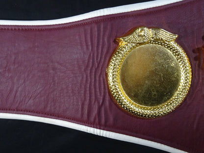WBO World Championship Belt