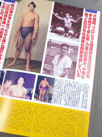 WAR / 革命 天龍源一郎 格闘技生活30周年記念大会