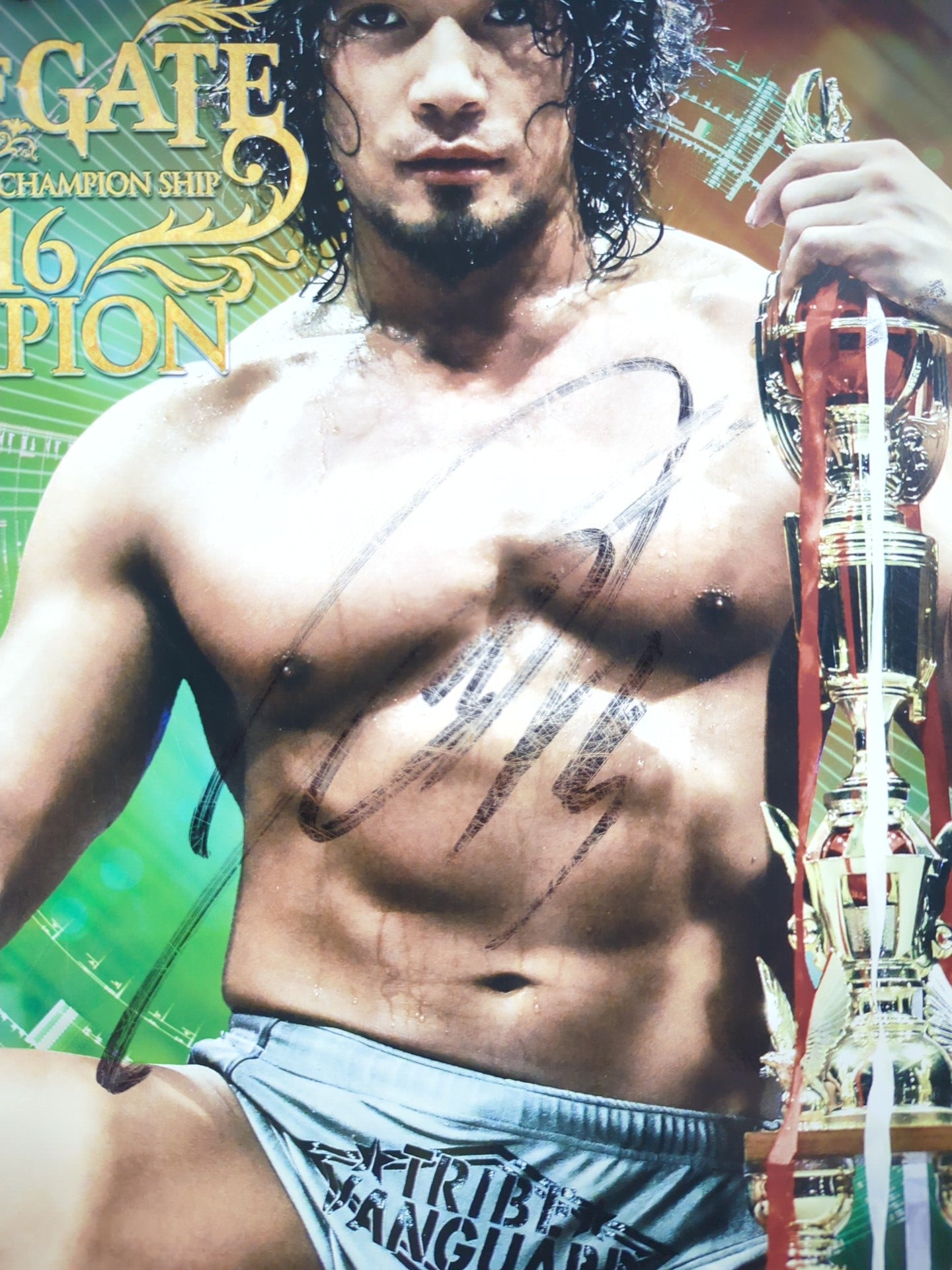 3選手直筆サイン入り】2016 DRAGON GATE OFFICIAL PAMPHLET Vol.49