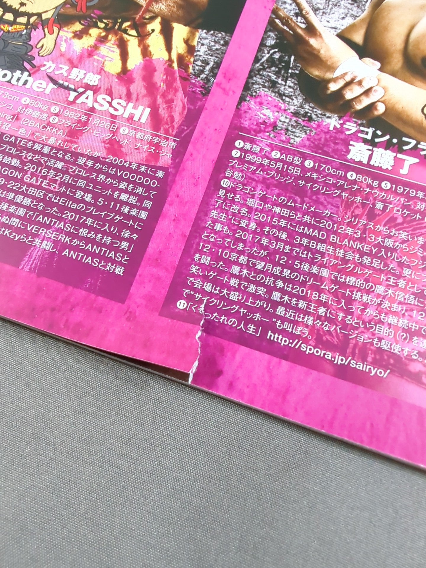 【6選手直筆サイン入り】2018 DRAGON GATE OFFICIAL PAMPHLET Vol.65