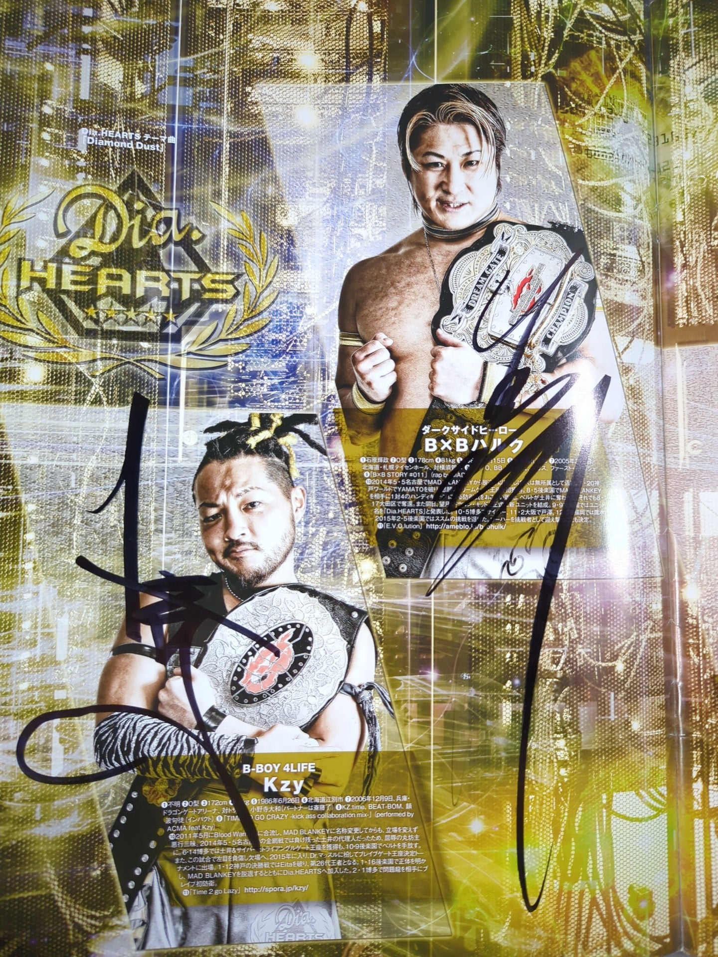 【5選手直筆サイン入り】2015 DRAGON GATE OFFICIAL PAMPHLET Vol.39