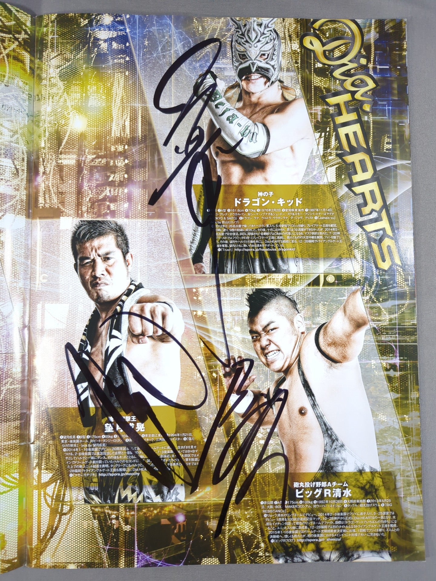 5選手直筆サイン入り】2015 DRAGON GATE OFFICIAL PAMPHLET Vol.39