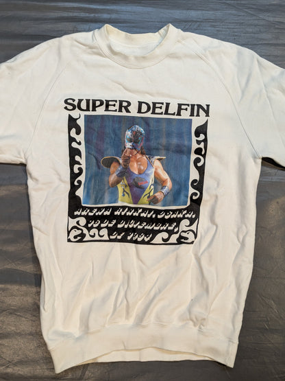 Super Delfin Pictura Trainer