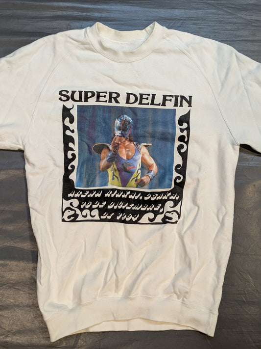 Super Delfin Pictura Trainer