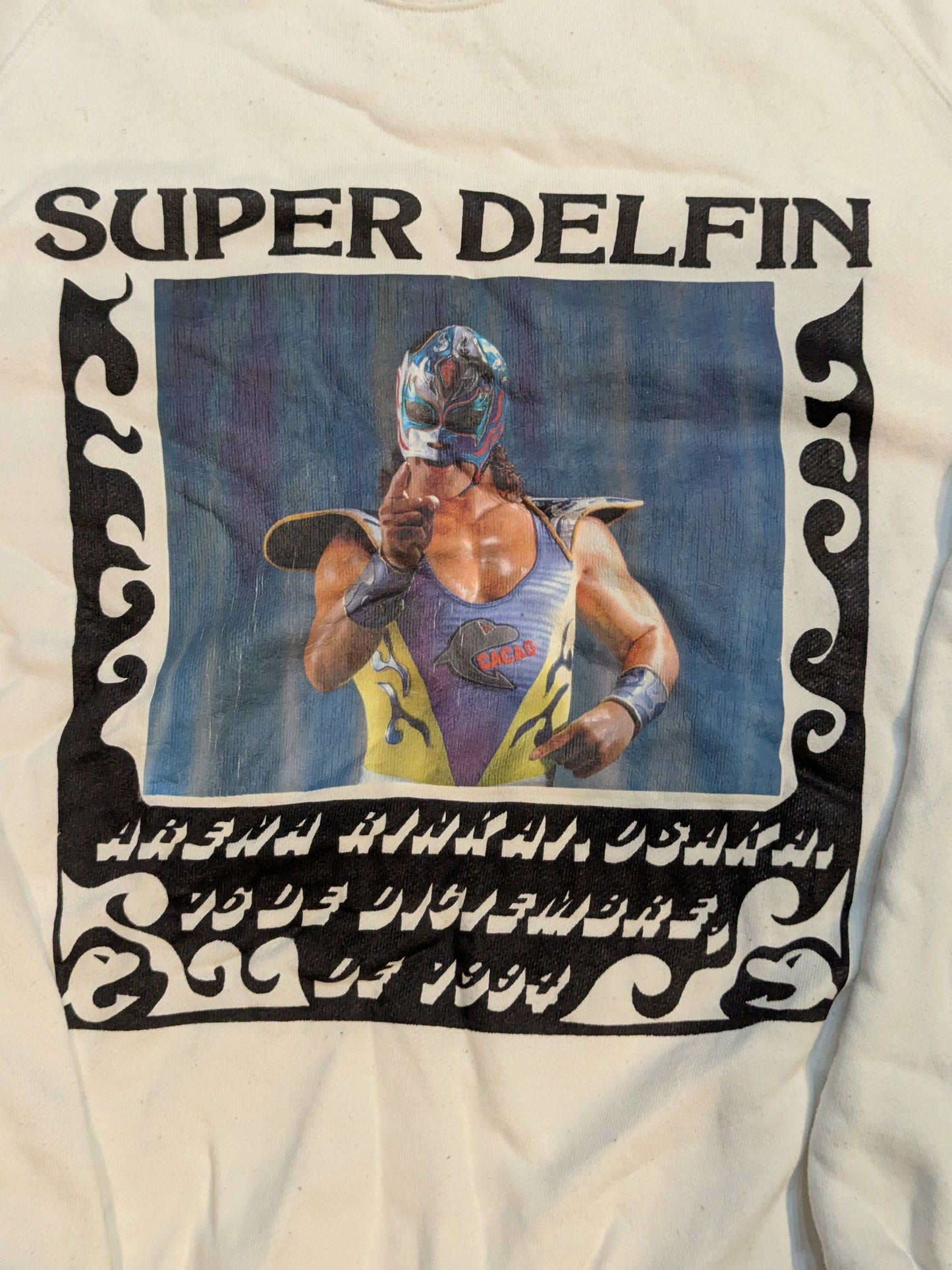 Super Delfin Pictura Trainer
