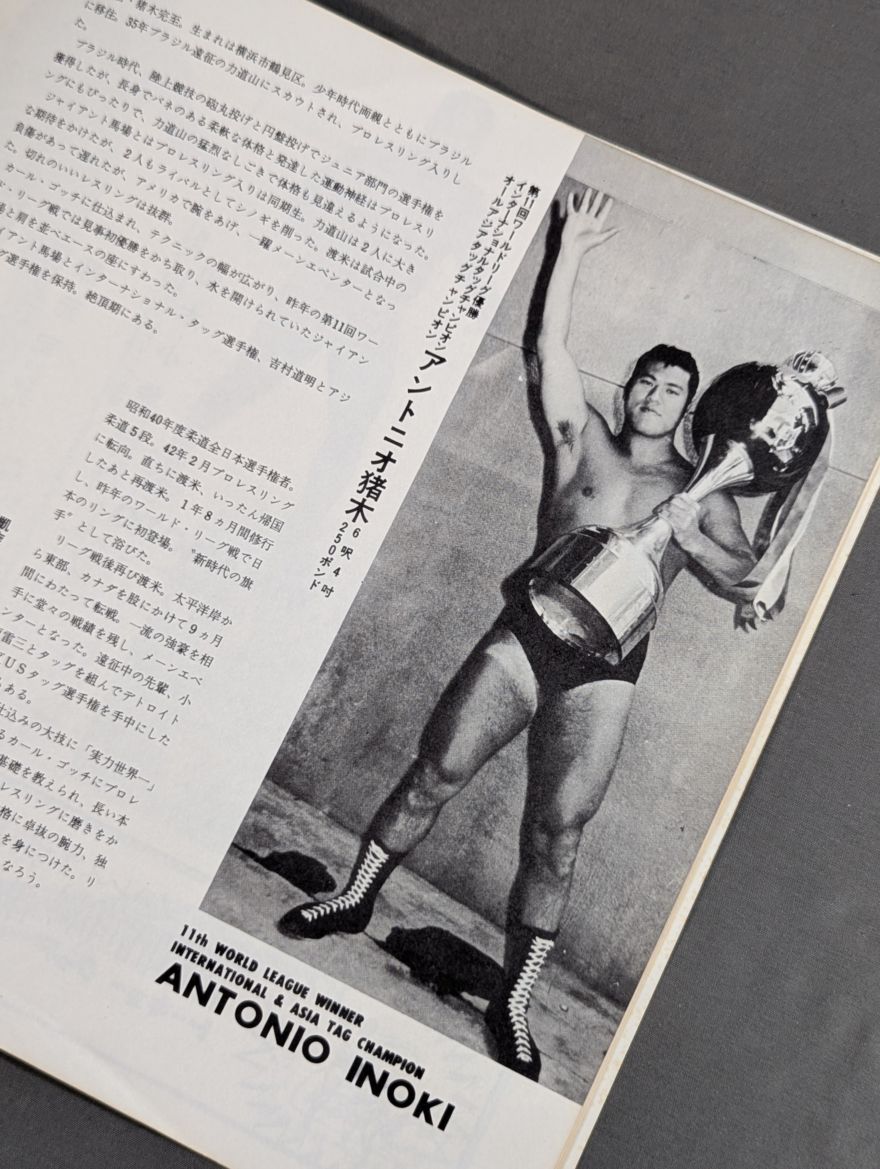 プロレス　第１２回ワ―ルド大リ―グ戦パンフレット（猪木＆馬場、日本プロレス） 70第12回ワールド大リーグ戦 – 闘道館