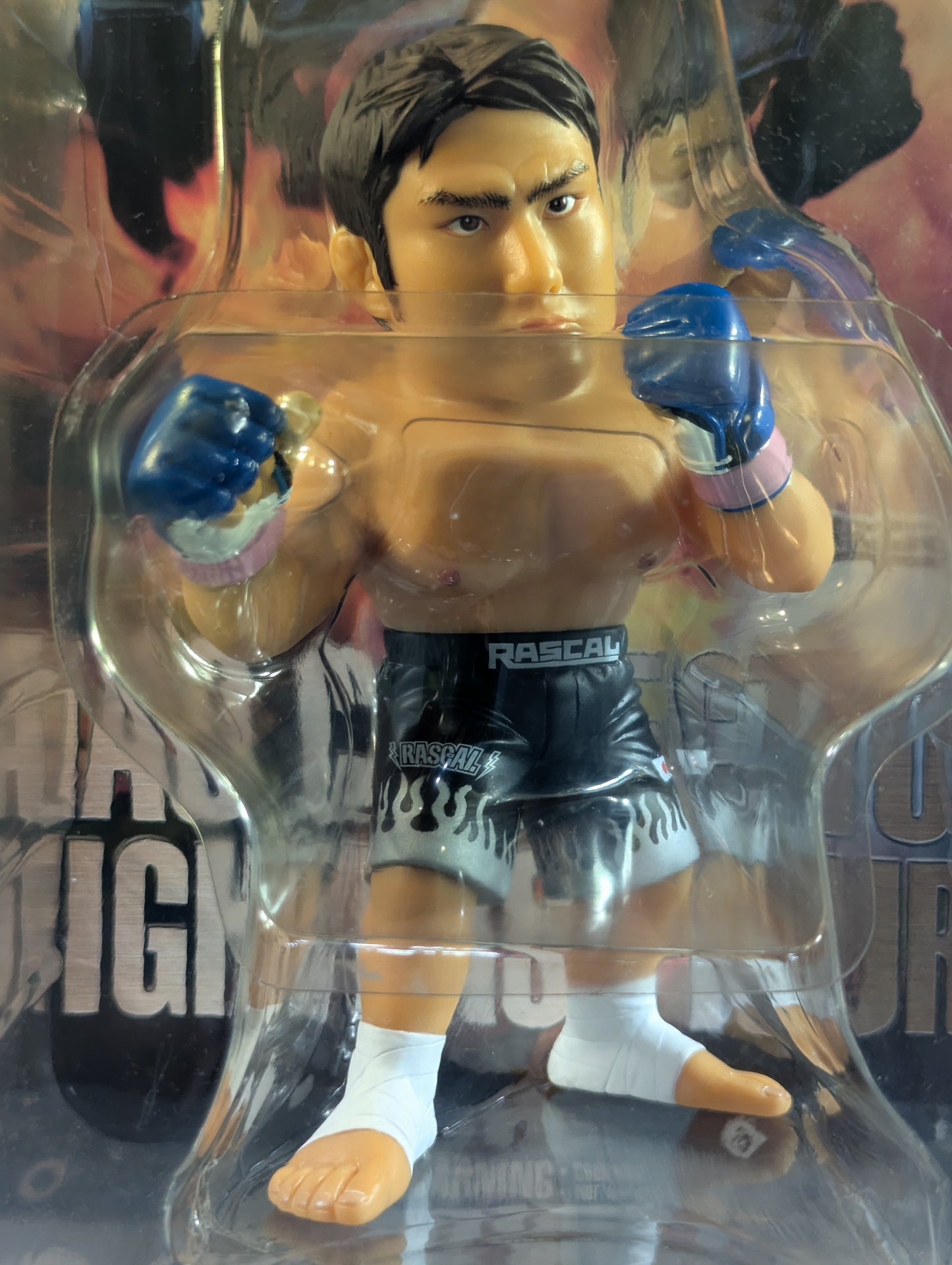 Takanori Gomi (Black Trunks)