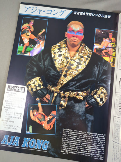リングスターPROGRAM / ジャパン・グランプリ ’95