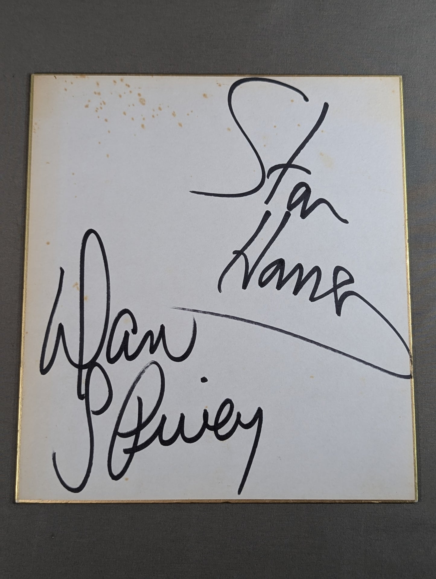 Stan Hansen & Dan Spivey (Danny Spivey)