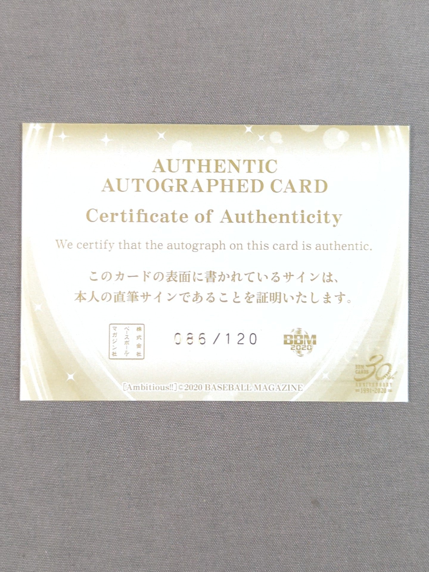 2020 BBM Yappy Official Autographed Card