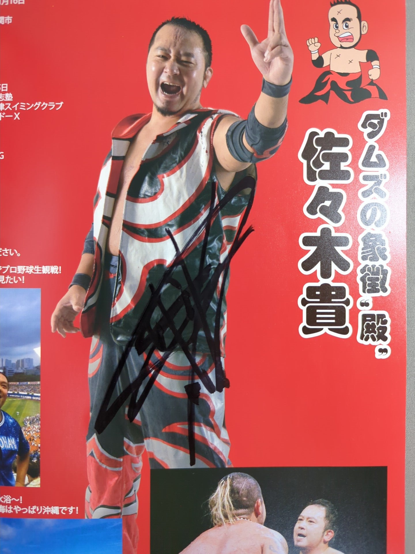 【佐々木貴 直筆サイン入り】FREEDOMS 2016 公式ガイドブック
