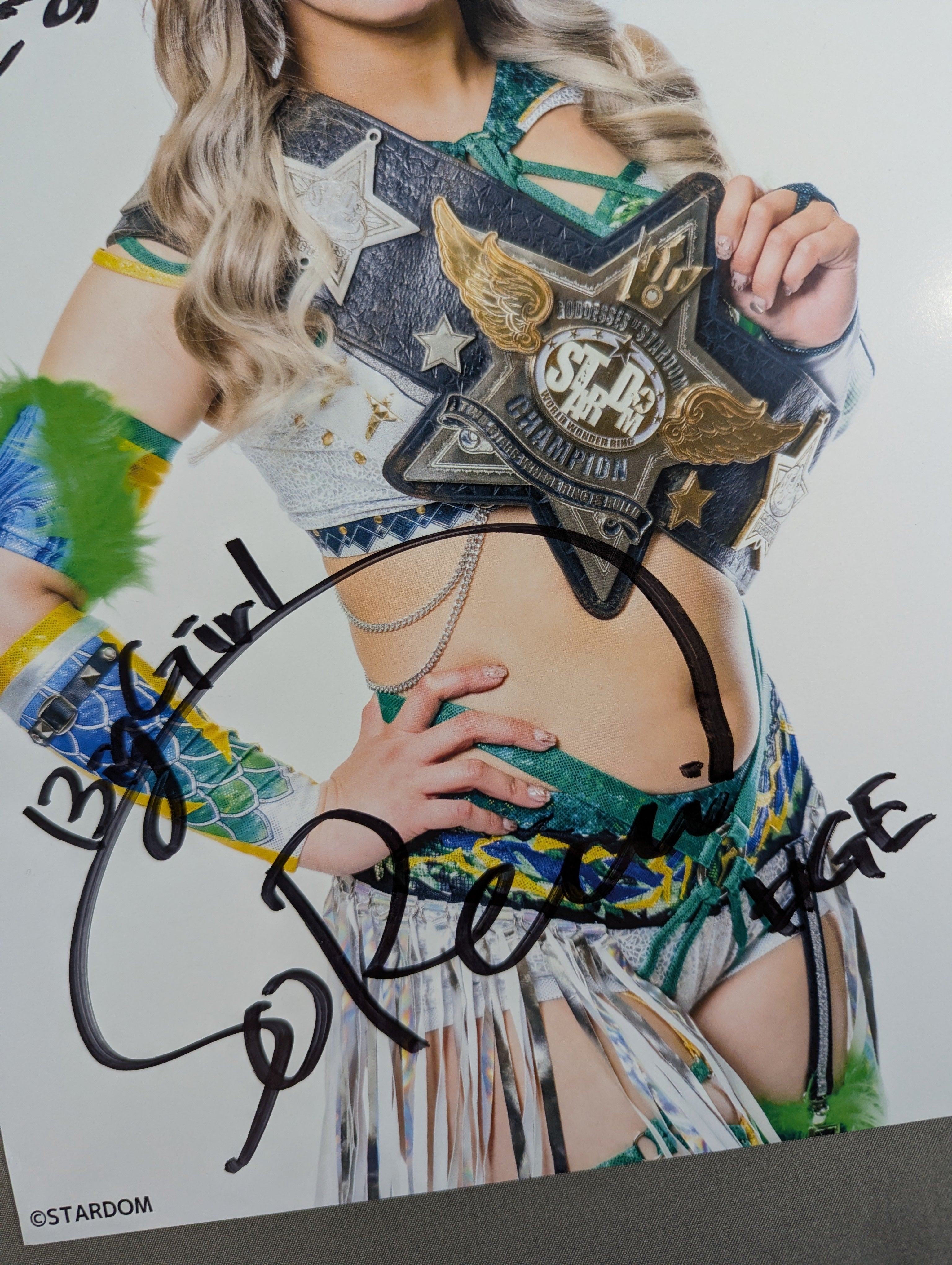 壮麗亜美 直筆サイン入り スターダムポートレート(F-2) – 闘道館