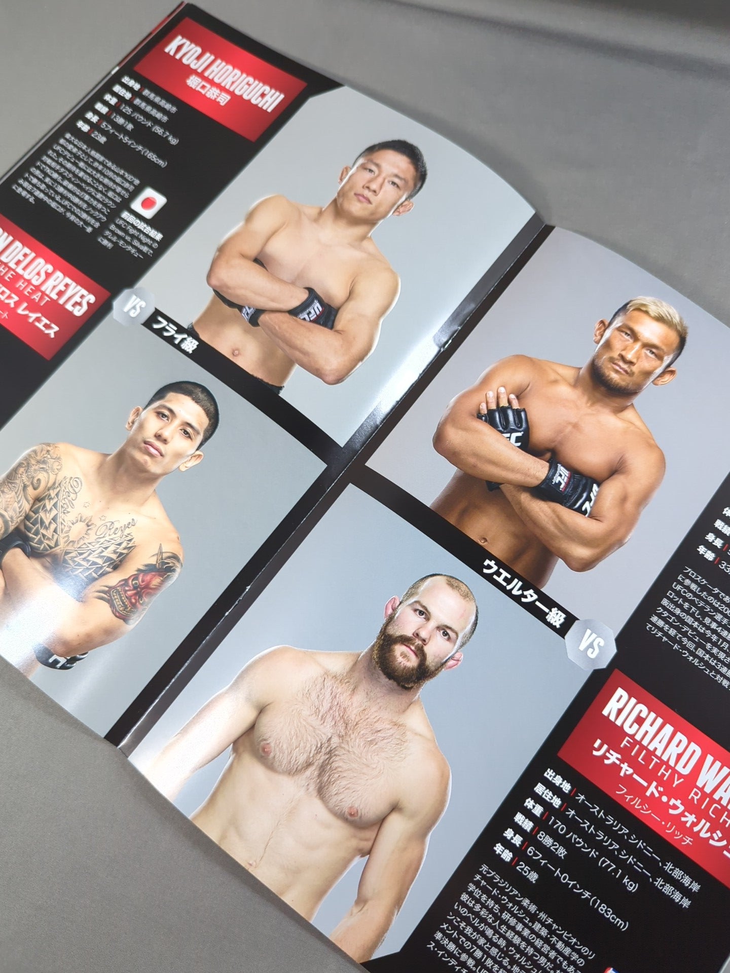 UFC FIGHT NIGHT JAPAN 2014 / HUNTvsNELSON
