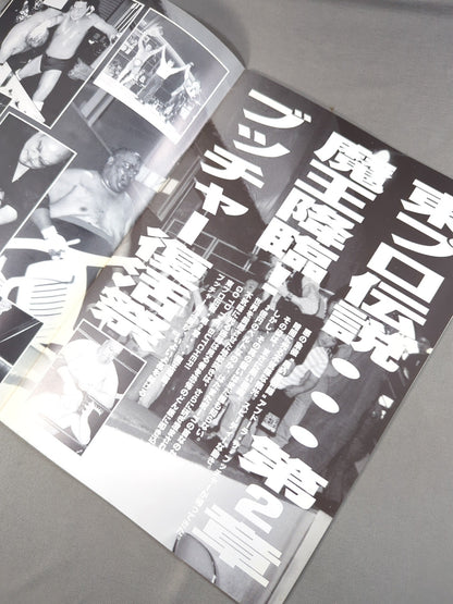 (New) Tokyo Pro Wrestling / Fighting Legend of Gold (2)
