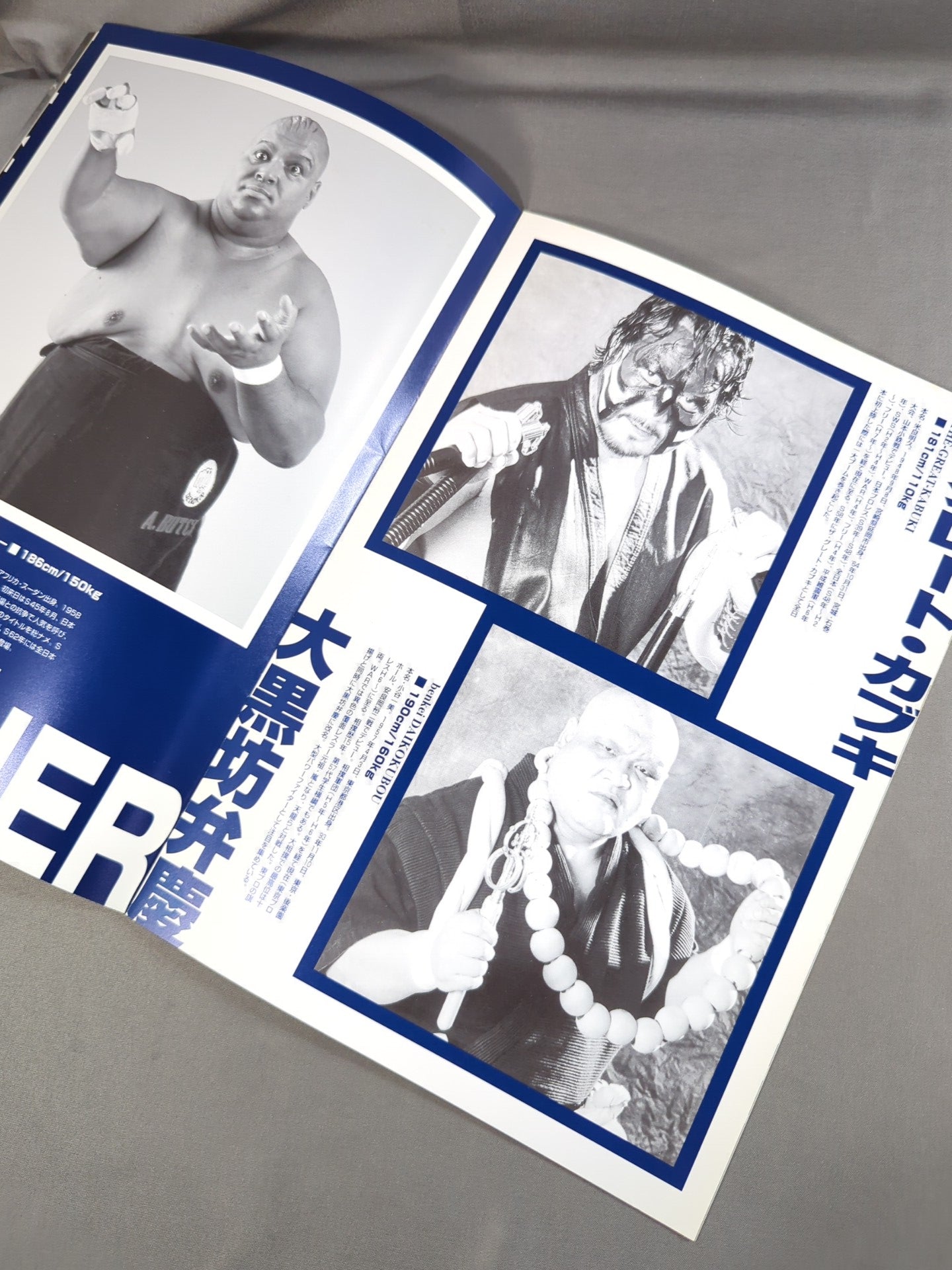 (New) Tokyo Pro Wrestling / Fighting Legend of Gold (2)