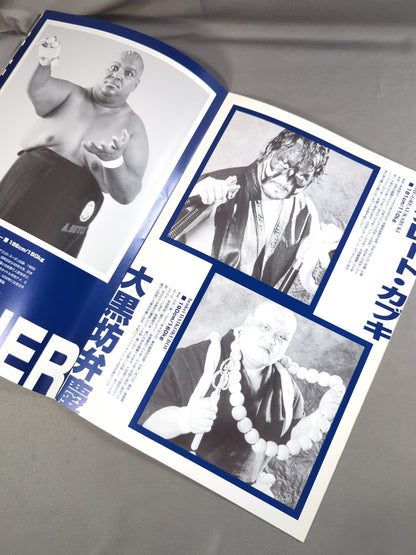 (New) Tokyo Pro Wrestling / Fighting Legend of Gold (2)