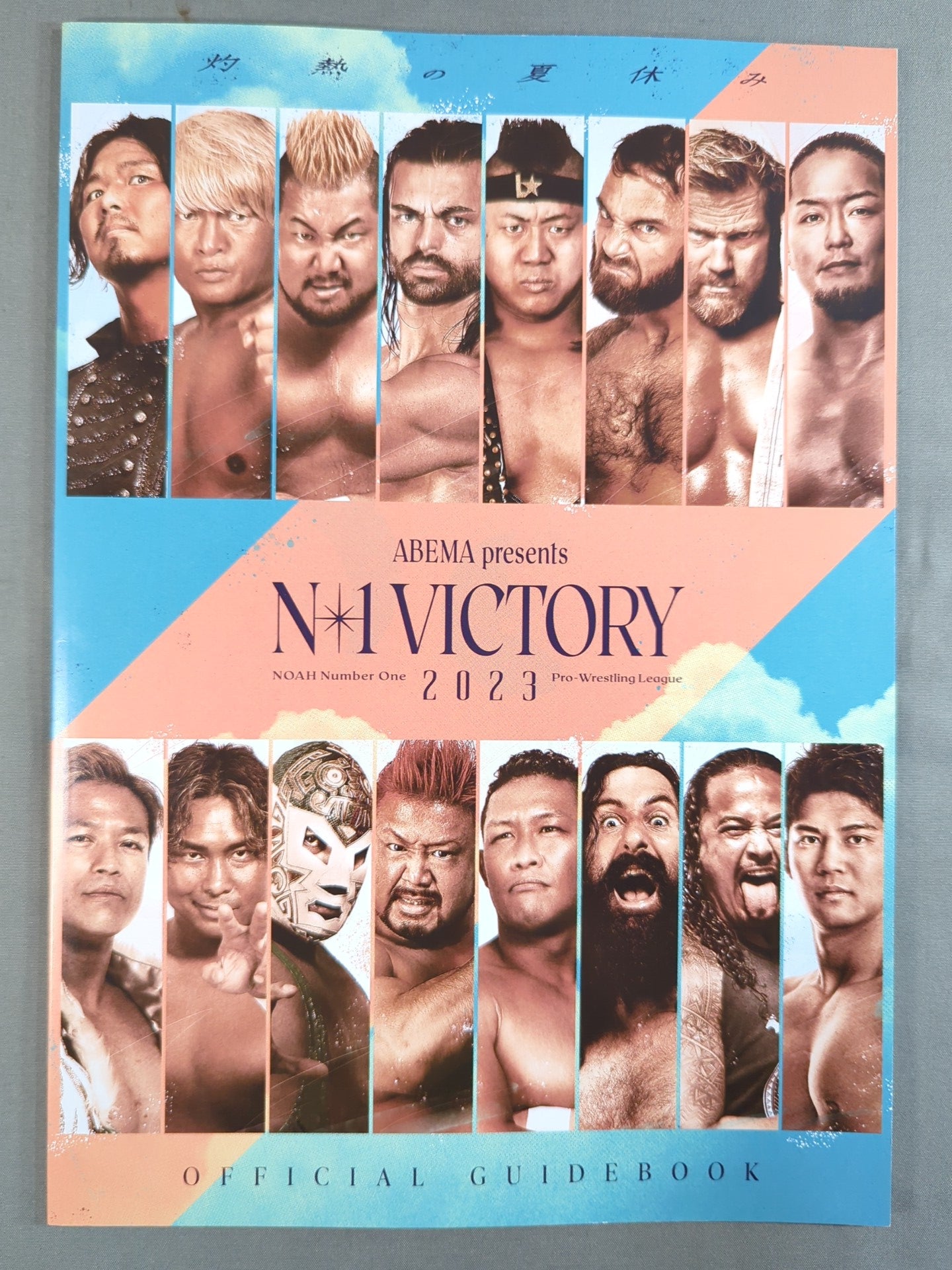 N-1 VICTORY 2023 OFFICIAL GUIDE BOOK