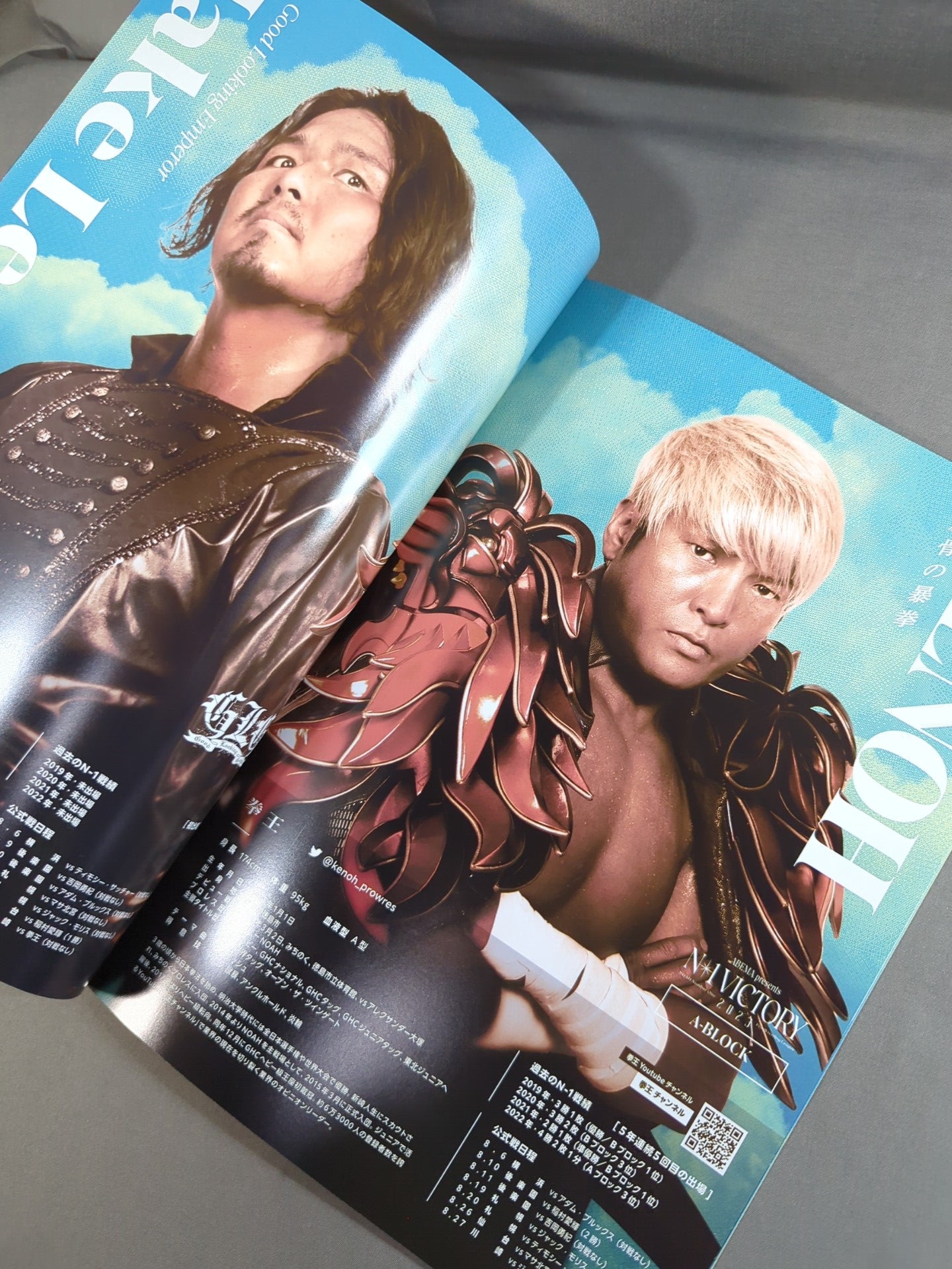 N-1 VICTORY 2023 OFFICIAL GUIDE BOOK