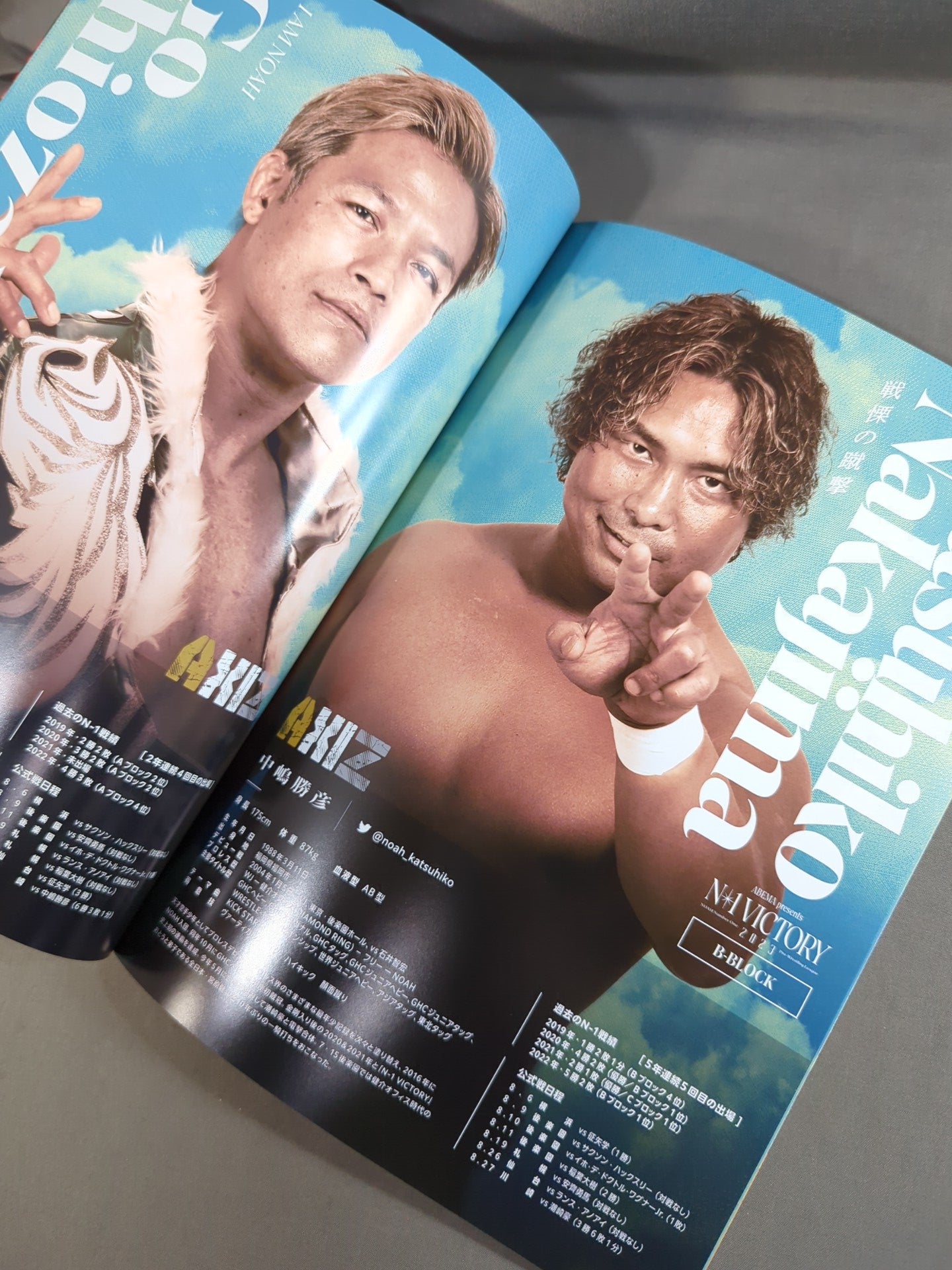 N-1 VICTORY 2023 OFFICIAL GUIDE BOOK