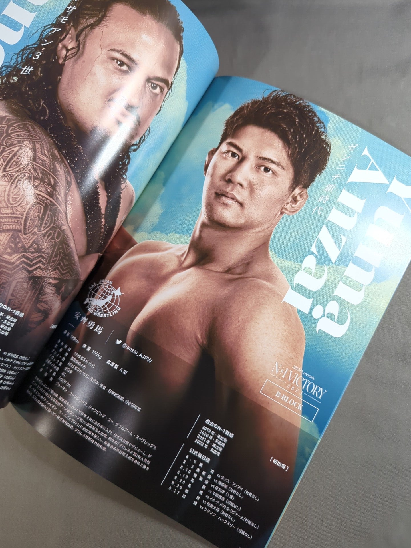 N-1 VICTORY 2023 OFFICIAL GUIDE BOOK