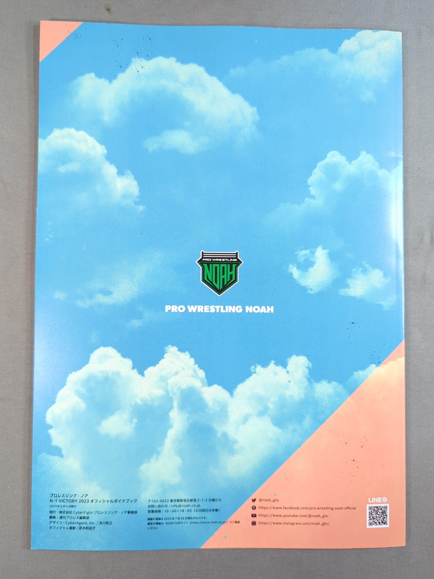 N-1 VICTORY 2023 OFFICIAL GUIDE BOOK