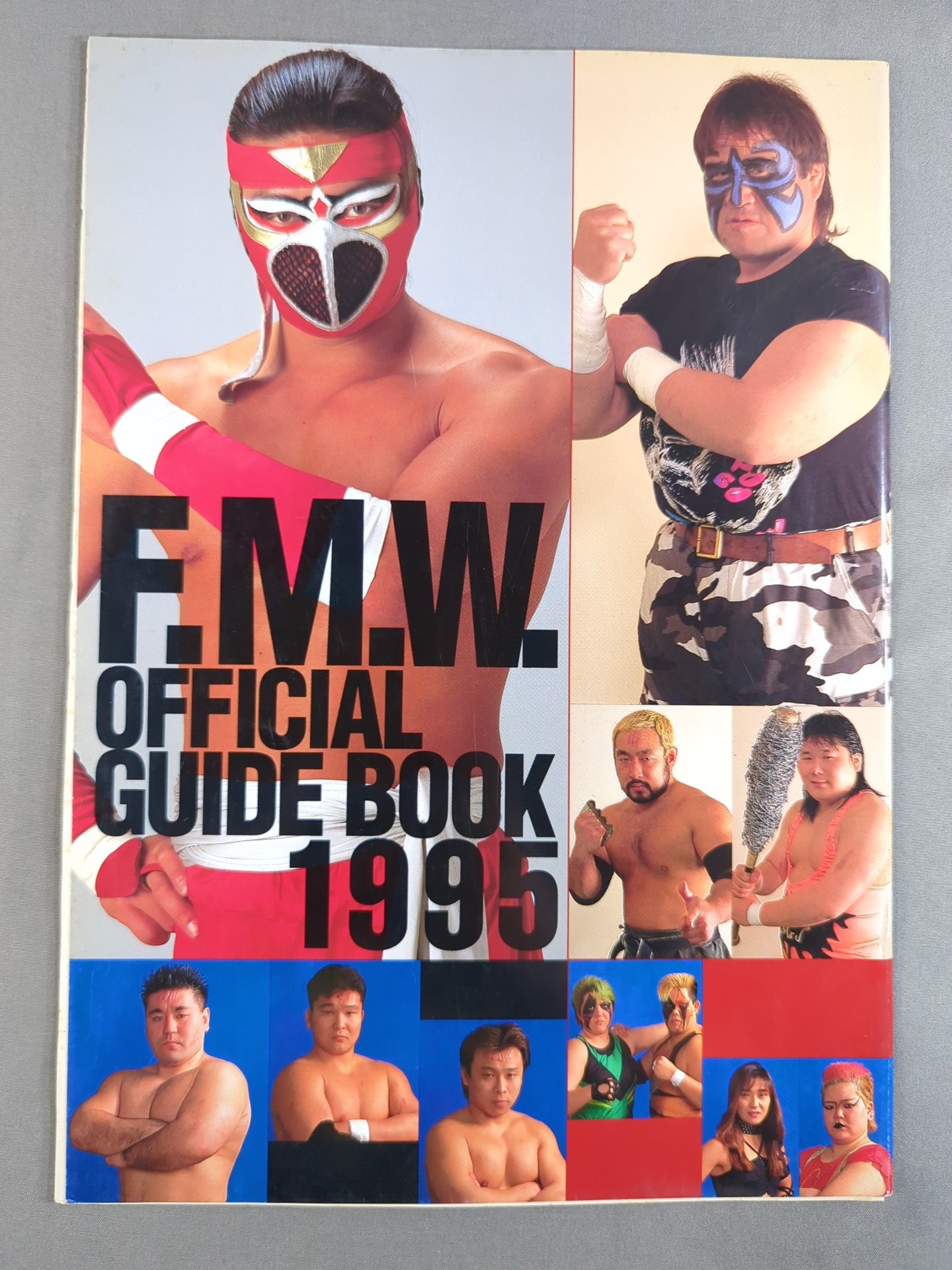 FMW OFFICIAL GUIDE BOOK 1995