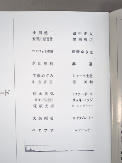 FMW OFFICIAL GUIDE BOOK 1995