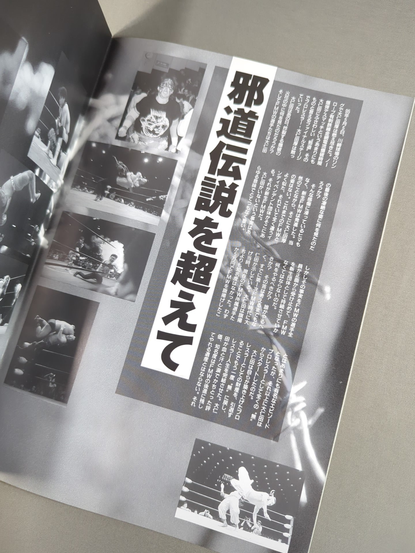 FMW OFFICIAL GUIDE BOOK 1995