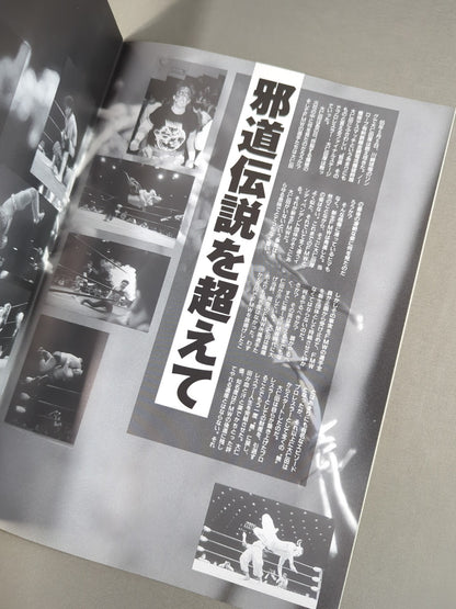 FMW OFFICIAL GUIDE BOOK 1995
