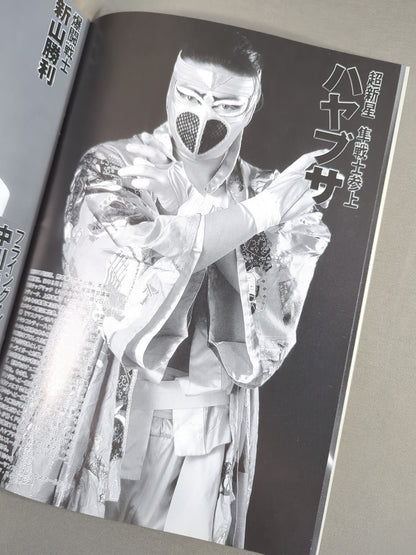 FMW OFFICIAL GUIDE BOOK 1995
