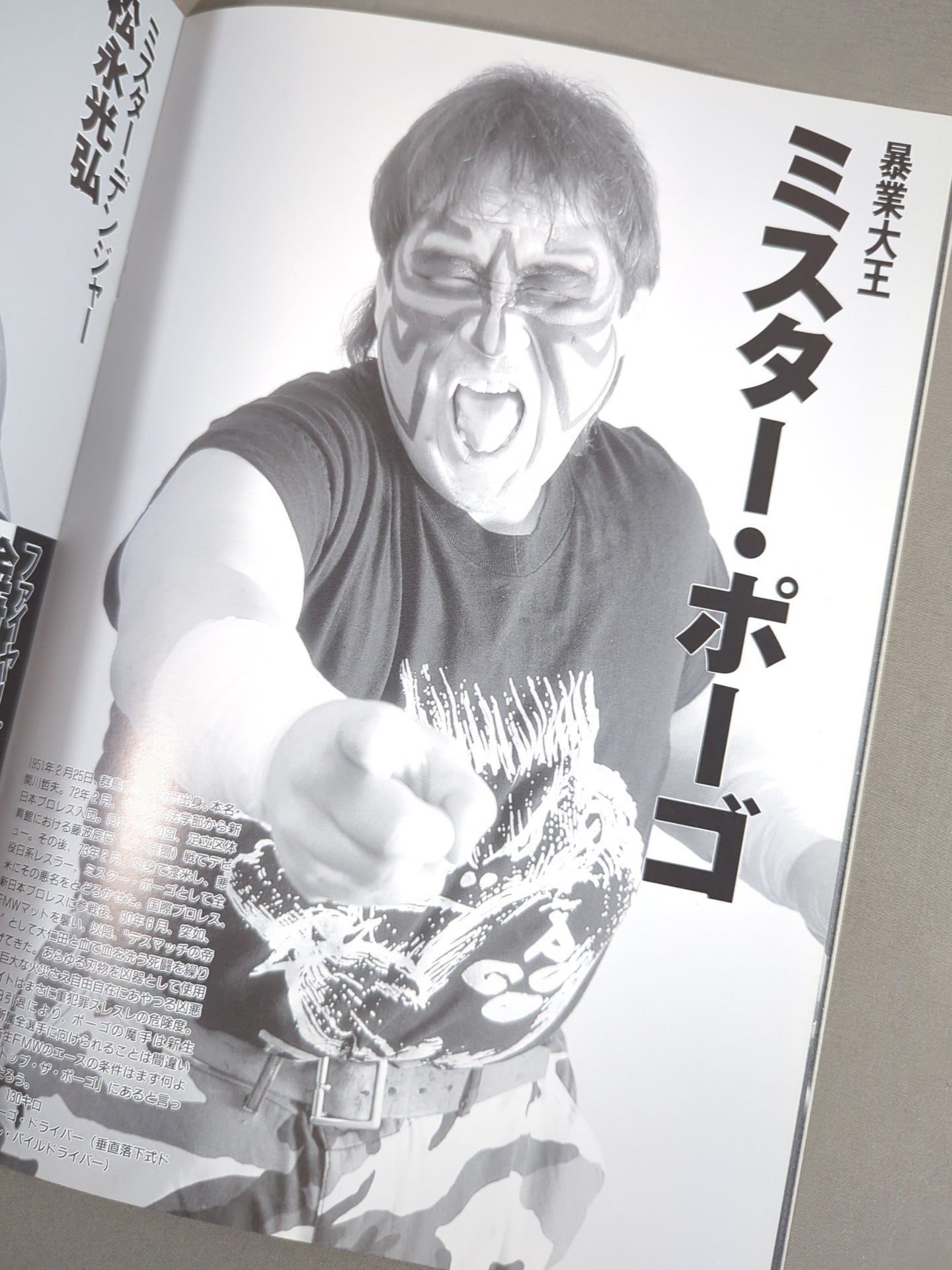 FMW OFFICIAL GUIDE BOOK 1995