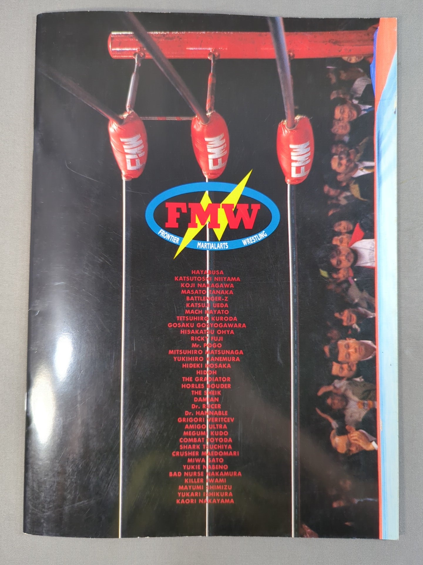 FMW OFFICIAL GUIDE BOOK 1995