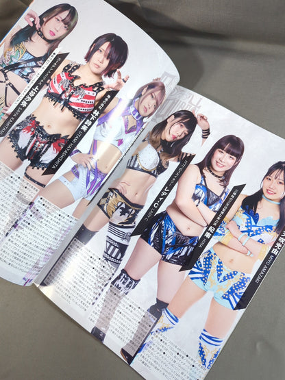 STARDOM OFFICIAL GUIDE BOOK Vol.141