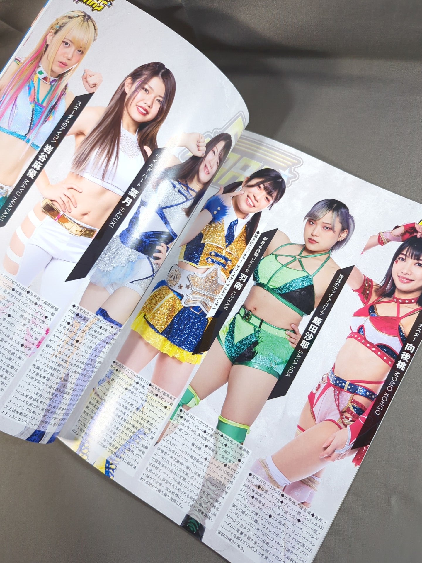 STARDOM OFFICIAL GUIDE BOOK Vol.141