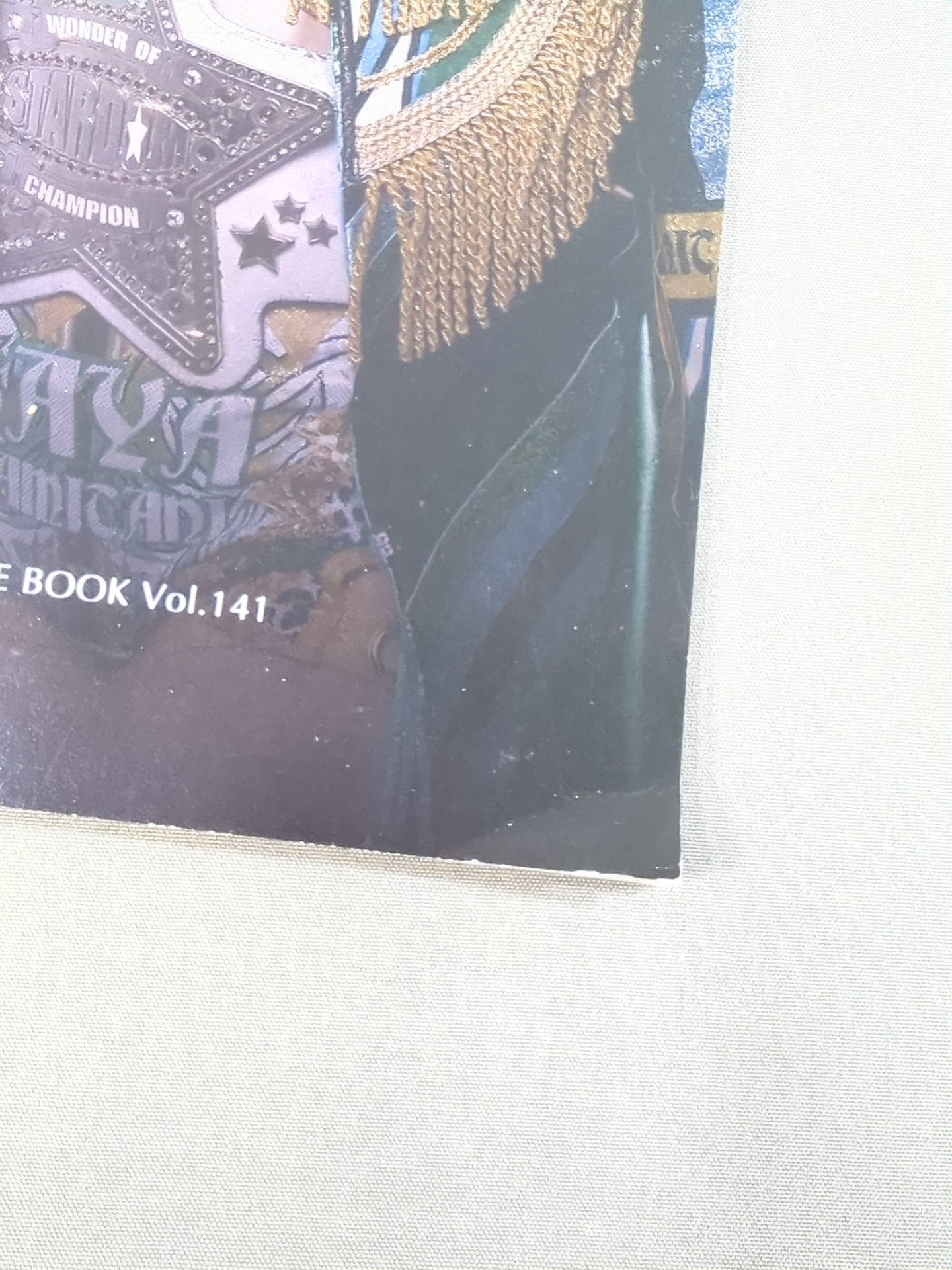 STARDOM OFFICIAL GUIDE BOOK Vol.141
