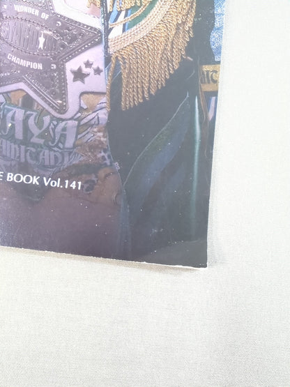 STARDOM OFFICIAL GUIDE BOOK Vol.141