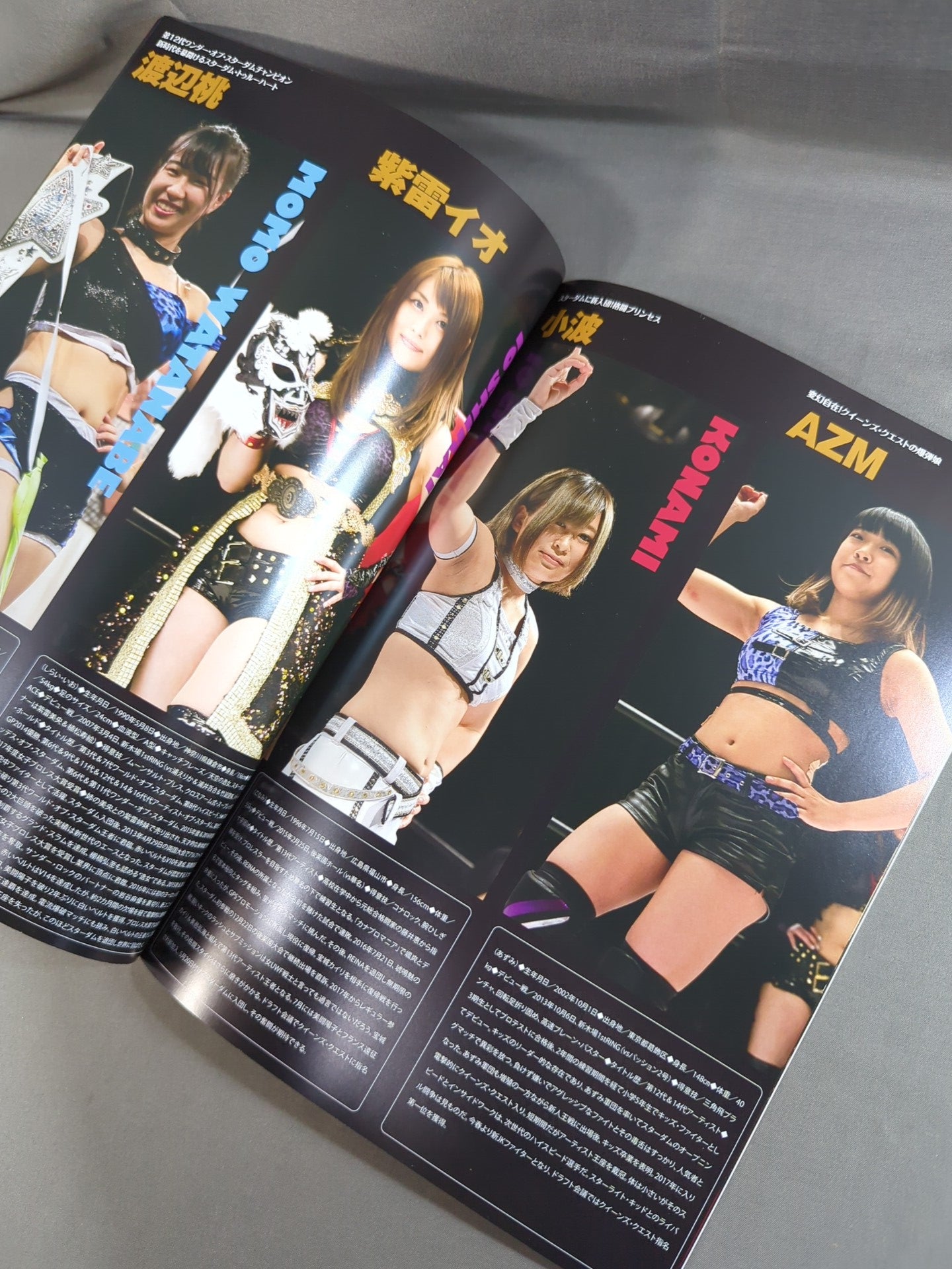 ★ Io Send-off Match ★ STARDOM OFFICIAL GUIDE BOOK Vol.109