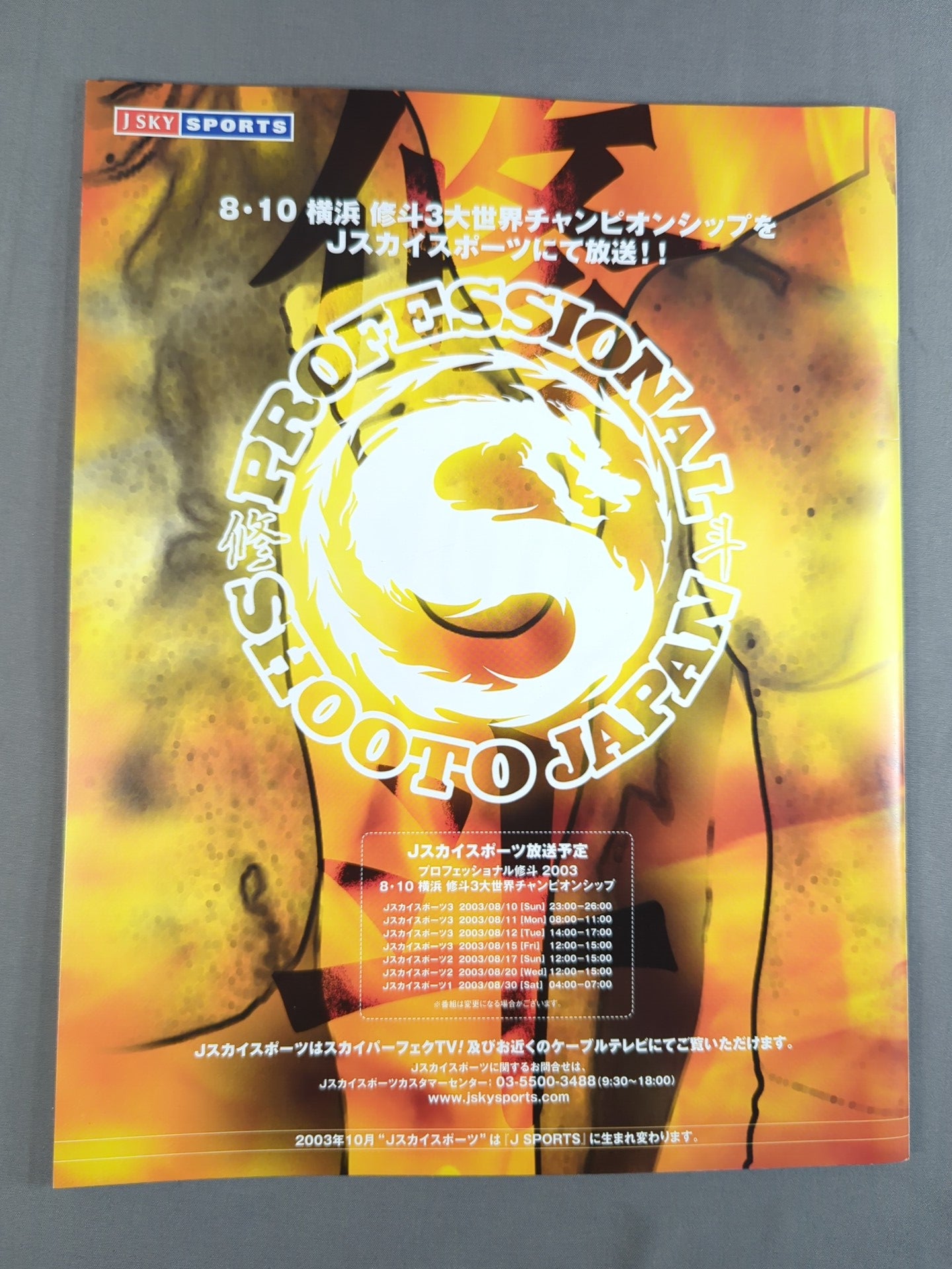 ★3大タイトルマッチ★ SHOOTO / TRIPLE WORLD CHAMPIONSHIP(2003)