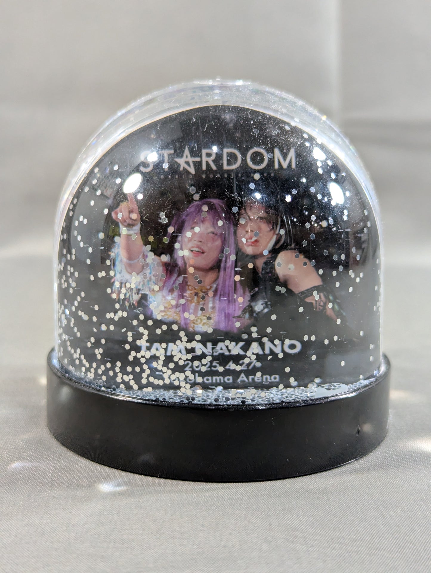 Tam Nakano Memorial Snow Globe