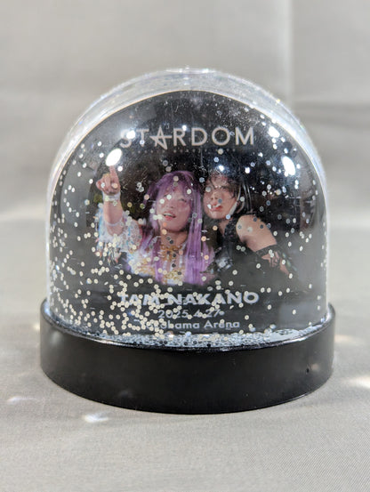 Tam Nakano Memorial Snow Globe