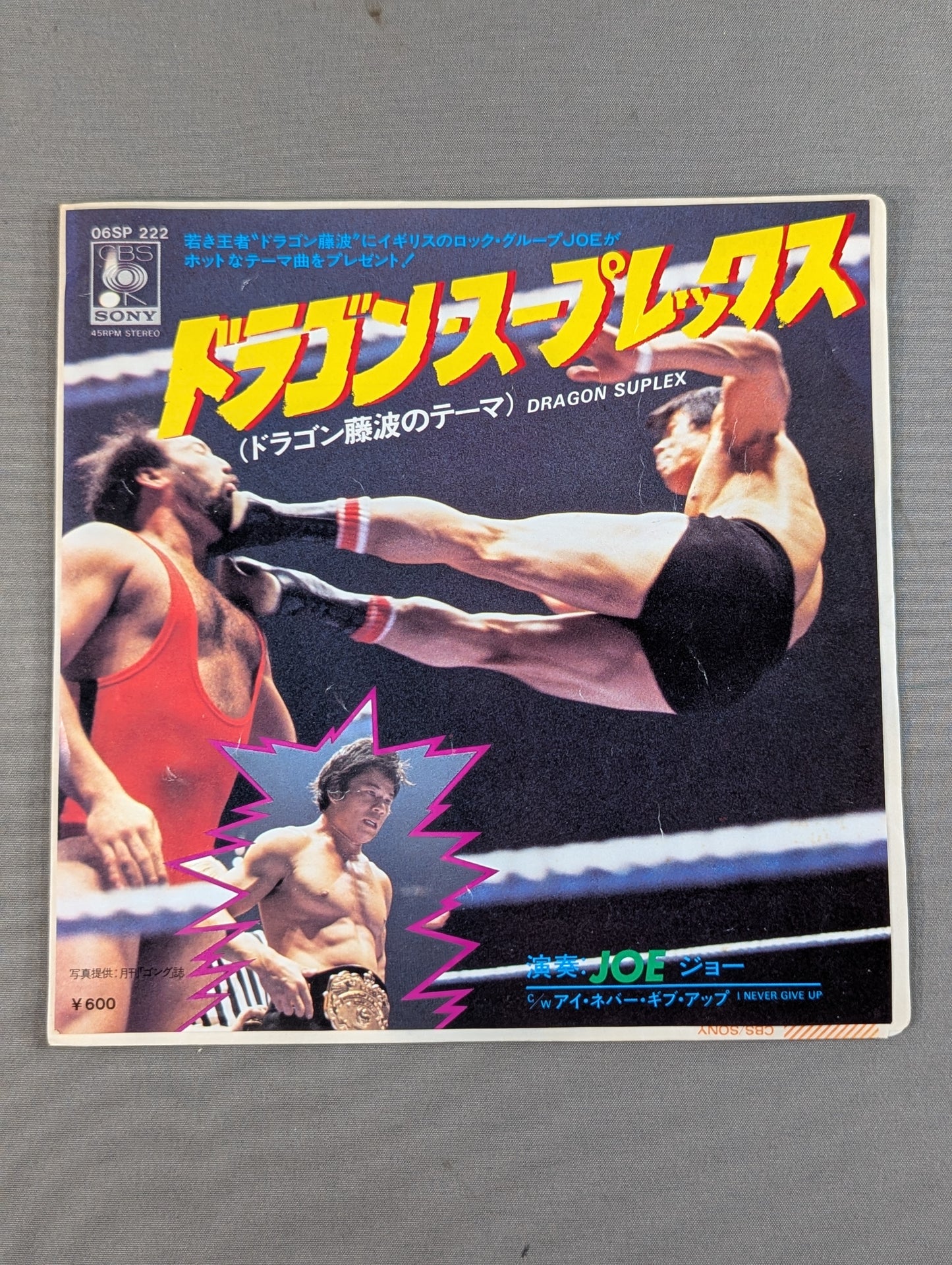 Dragon Suplex (Dragon Fujinami theme)