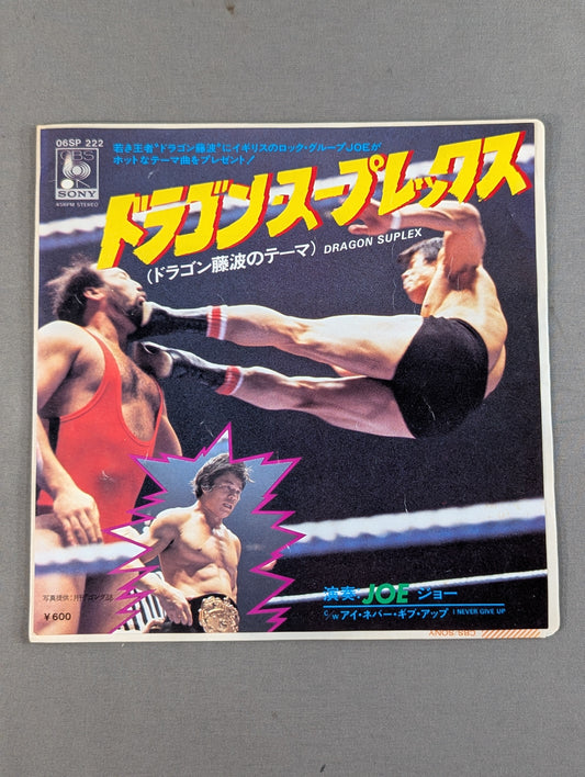 Dragon Suplex (Dragon Fujinami theme)