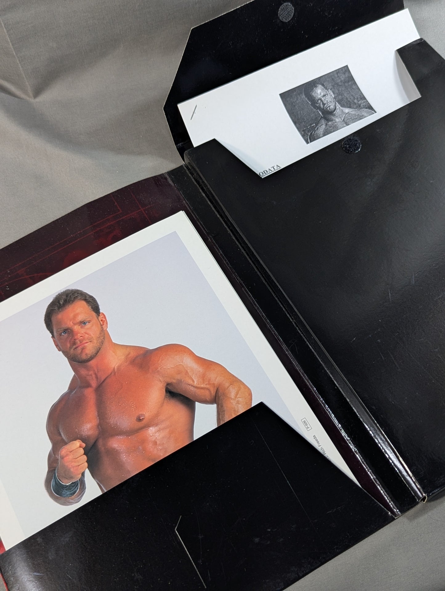 WWF　プロモフォト 4枚セット&専用フォルダー(2002)　