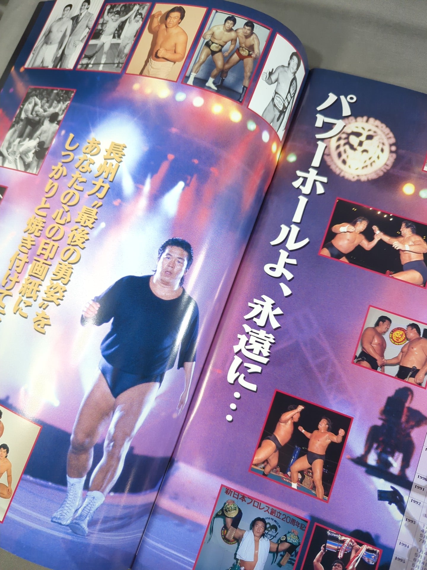 【半券付】★長州力引退試合★ FINAL POWER HALL in 闘強導夢