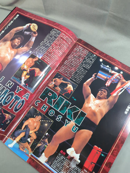 【半券付】★新日本vs大日本★ 97WRESTLING WORLD in TOKYO DOME