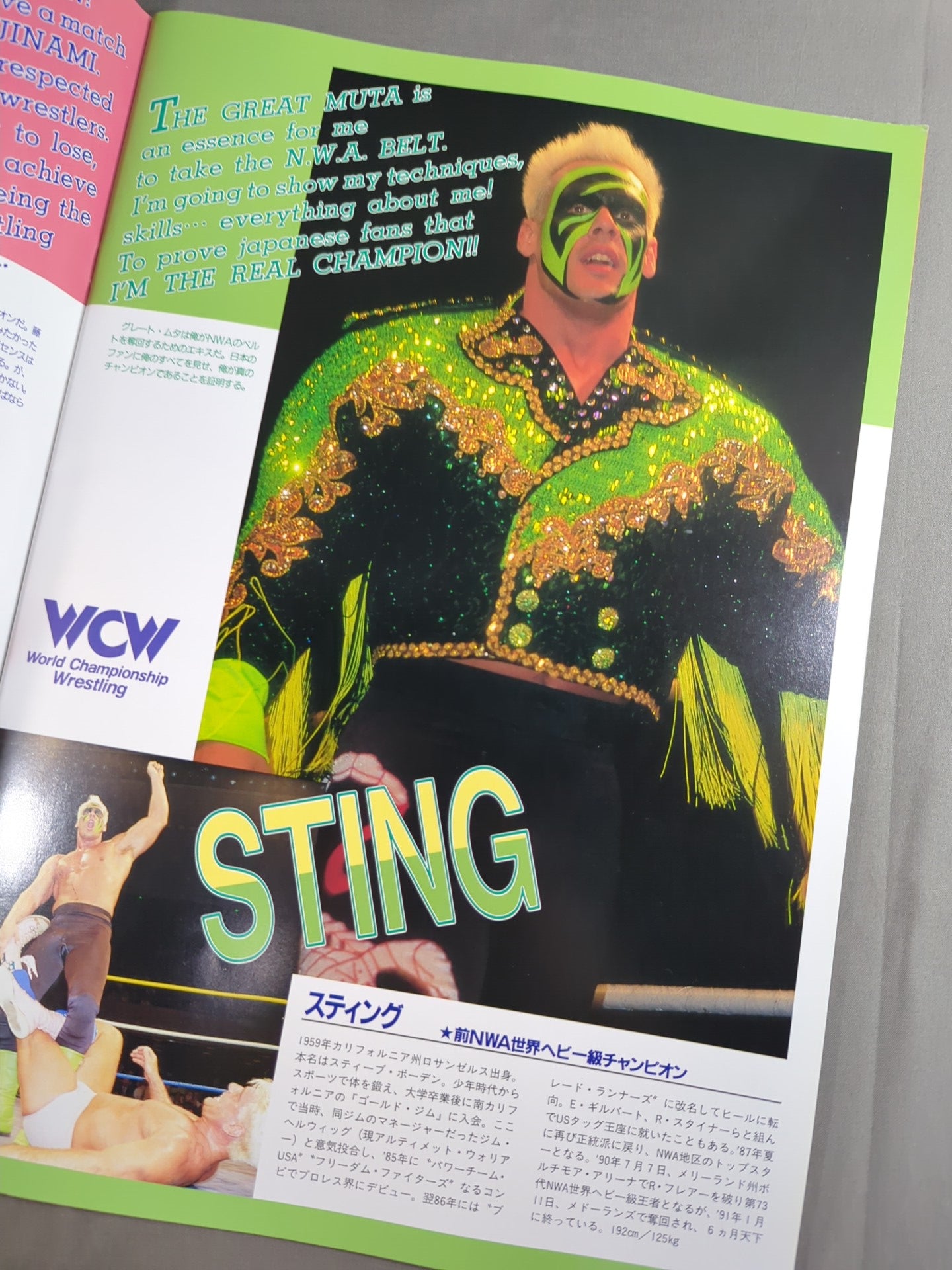 [With ticket stub] ★ Fujinami vs. Flair NWA Match ★ 91 Starcade in Toukyu Domu