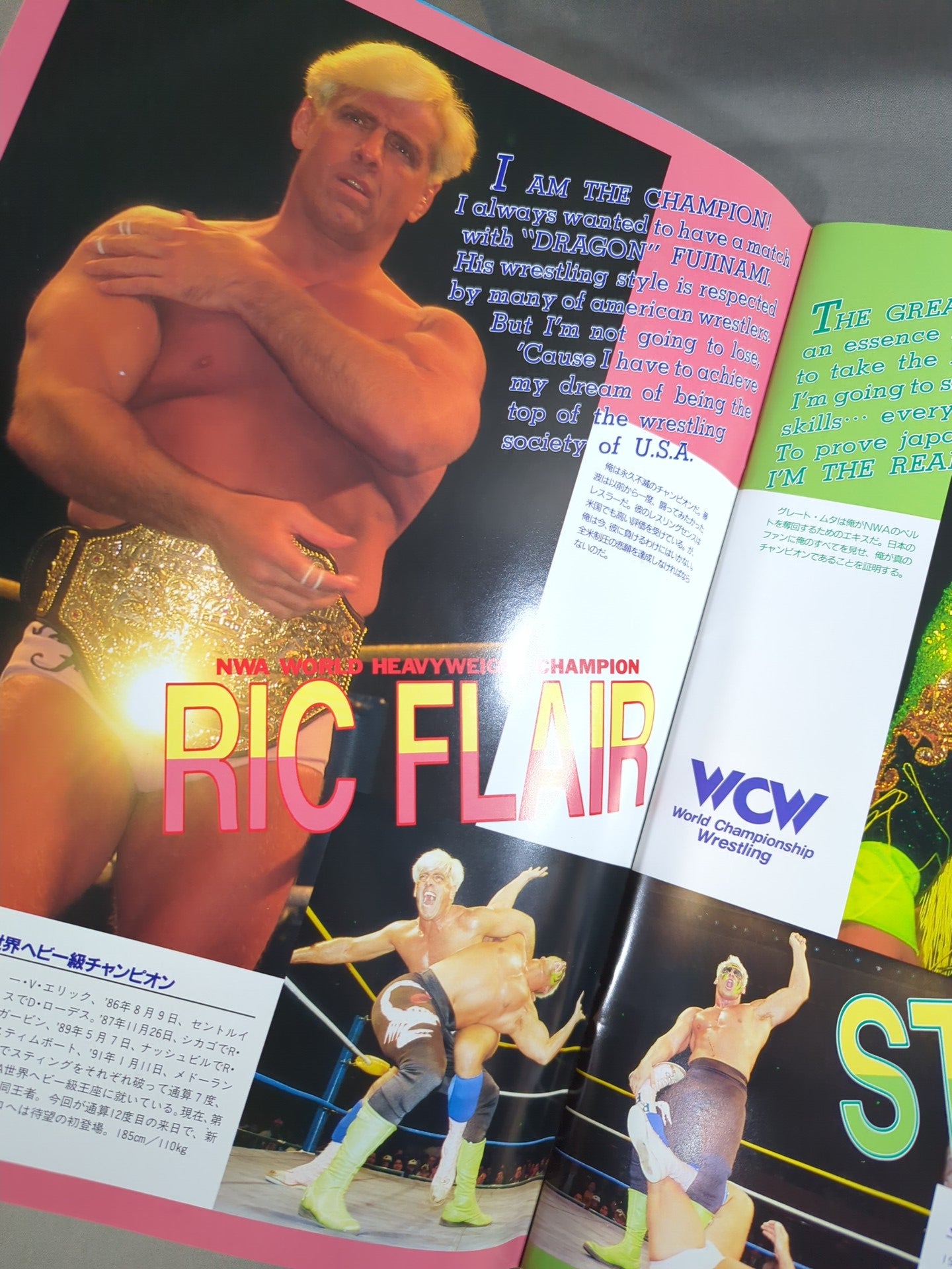 [With ticket stub] ★ Fujinami vs. Flair NWA Match ★ 91 Starcade in Toukyu Domu