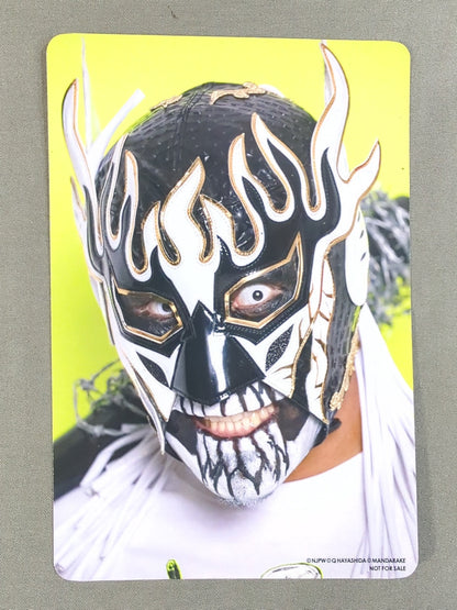 El Desperado× Kyuu Hayashida Postcard (D)
