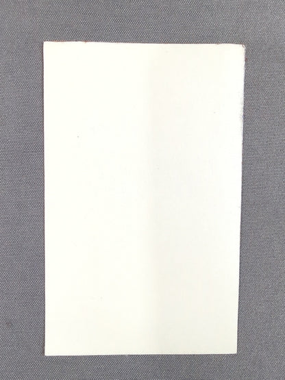 Ryusuke Taguchi "TAG 69 FES" Sticker