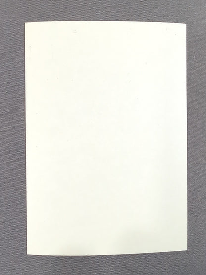 ★ ★ not sold in stores Kazuchika Okada "Pro Wrestling" "Café Lion" Bonus Sticker
